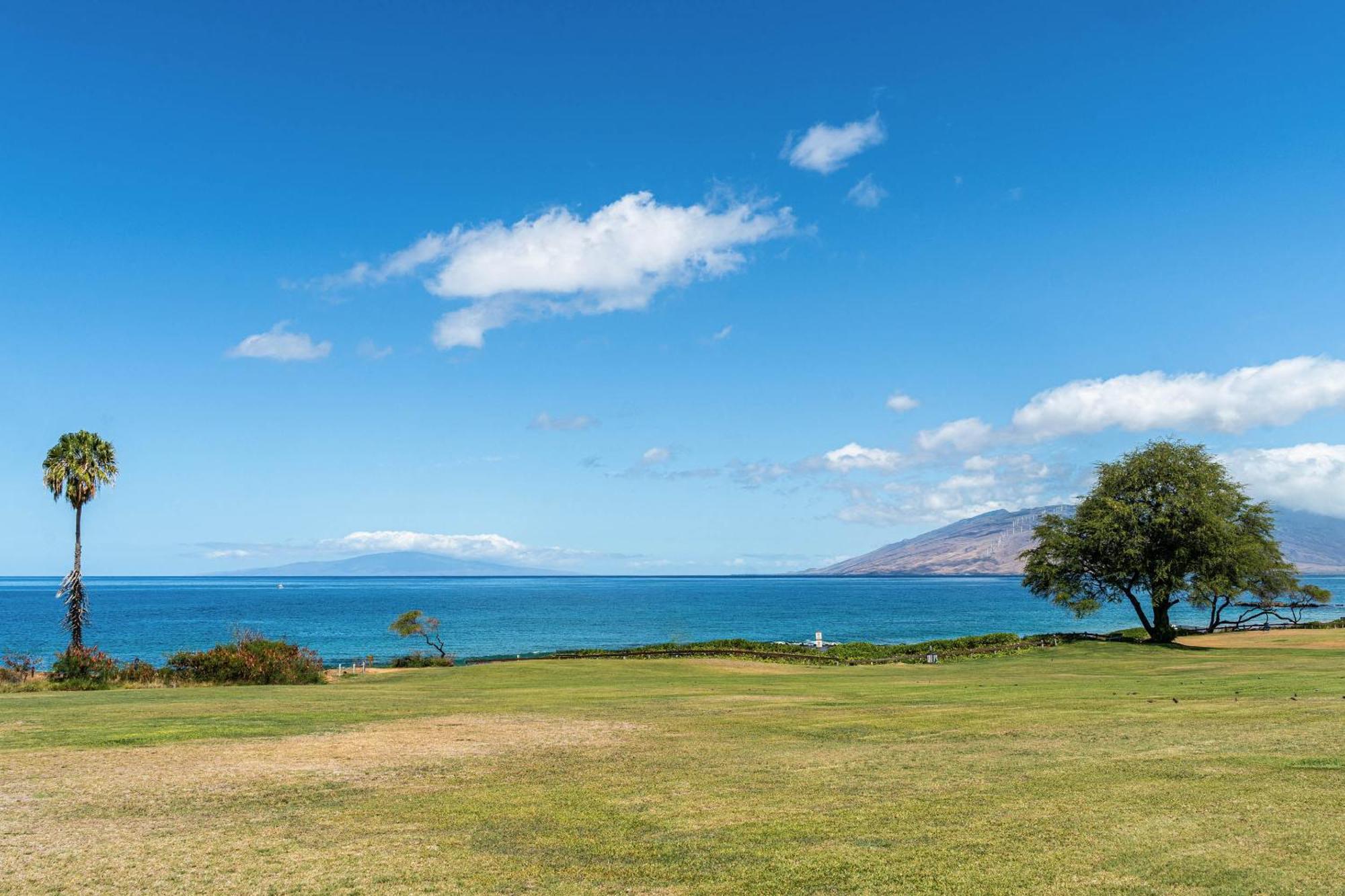 Ferienwohnung Maui Kamaole H-101 Wailea  Exterior foto